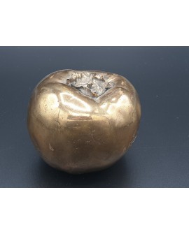 Persimmon in lost wax bronze