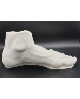 Satyr- left foot in plaster