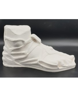 Apollo- right foot in plaster
