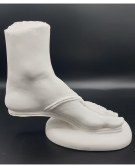 Praxilla- left foot in plaster
